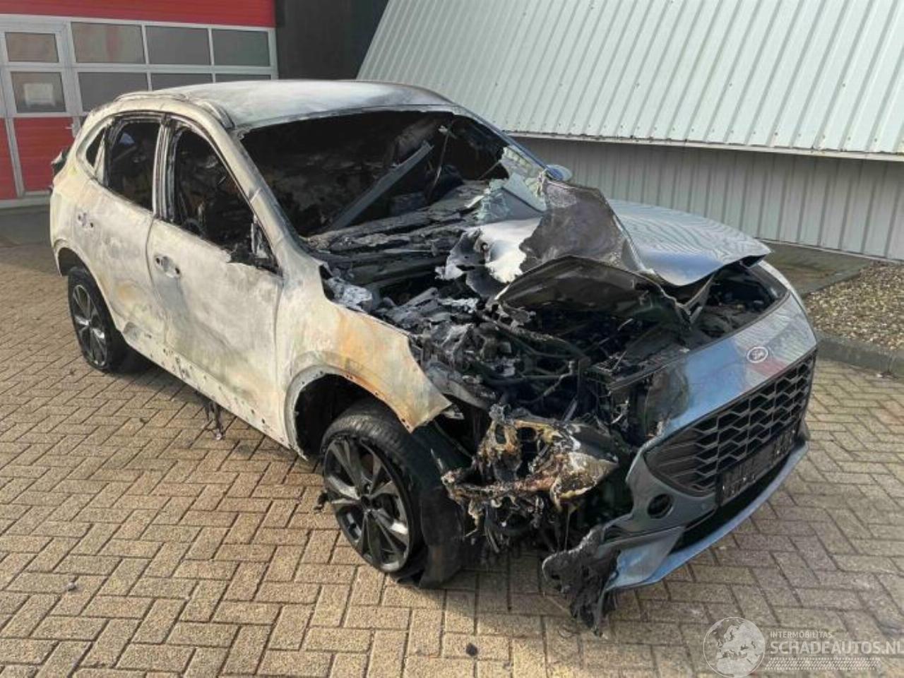 Ford Kuga Kuga III (DFK), SUV, 2019 2.5 PHEV 16V