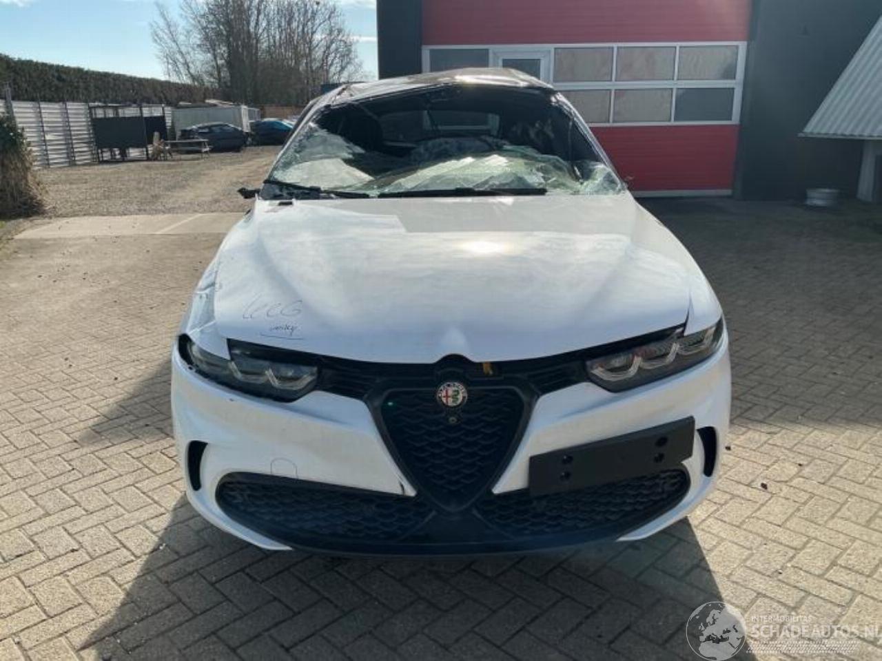 Alfa Romeo Tonale Tonale, SUV, 2022 1.3 T Hybrid Q4