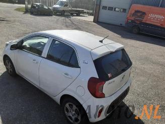 Kia Picanto Picanto (JA), Hatchback, 2017 1.0 12V picture 10