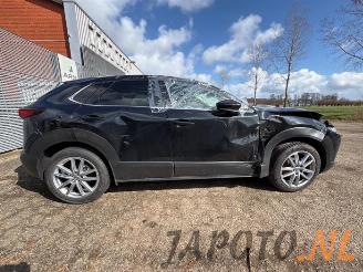Mazda CX-30 CX-30 (DM), SUV, 2019 2.0 e-SkyActiv-G 150 16V picture 6