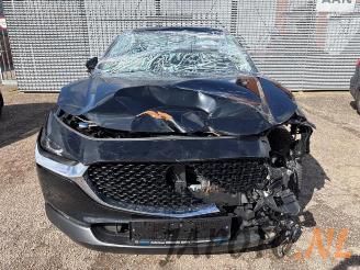 Mazda CX-30 CX-30 (DM), SUV, 2019 2.0 e-SkyActiv-G 150 16V picture 8