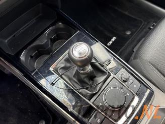 Mazda CX-30 CX-30 (DM), SUV, 2019 2.0 e-SkyActiv-G 150 16V picture 11