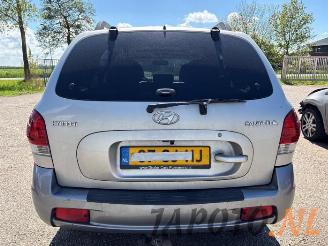 Hyundai Santa Fe Santa Fe I, SUV, 2000 / 2006 2.0 16V 4x2 picture 4