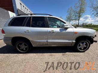 Hyundai Santa Fe Santa Fe I, SUV, 2000 / 2006 2.0 16V 4x2 picture 6