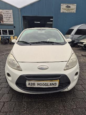 Vrakbiler auto Ford Ka II 1.2 Hatchback, Benzine, 1.242cc, 51kW (69pk), FWD, 169A4000; EURO4, 5-BAK 2009/1