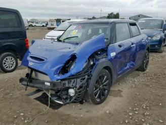 Mini Mini  picture 3