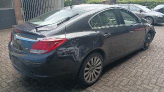 Opel Insignia Insignia Hatchback 5-drs 2.0 CDTI 16V 130 Ecotec (A20DTH) [96kW]  (07-=
2008/...) picture 3