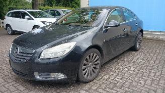 Opel Insignia Insignia Hatchback 5-drs 2.0 CDTI 16V 130 Ecotec (A20DTH) [96kW]  (07-=
2008/...) picture 10