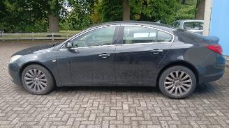 Opel Insignia Insignia Hatchback 5-drs 2.0 CDTI 16V 130 Ecotec (A20DTH) [96kW]  (07-=
2008/...) picture 8