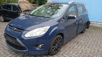 Ford Grand C-Max Grand C-Max (DXA) MPV 1.0 Ti-VCT EcoBoost 12V 125 (M1DA(Euro 5)) [92kW=
]  (10-2012/06-2019) picture 9
