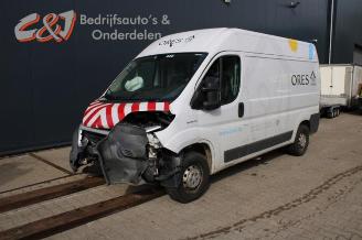 Fiat Ducato Ducato (250), Van, 2006 2.3 D 130 Multijet picture 1