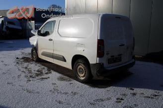 Opel Combo Combo Cargo, Van, 2018 1.6 CDTI 100 picture 3