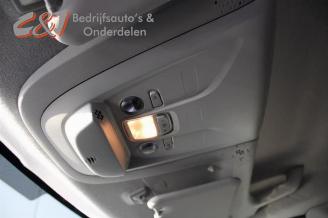 Opel Combo Combo Cargo, Van, 2018 1.6 CDTI 100 picture 17