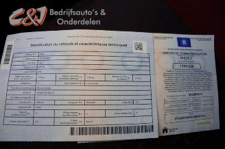 Fiat Doblo Doblo Cargo (263), Van, 2010 2.0 D Multijet picture 15