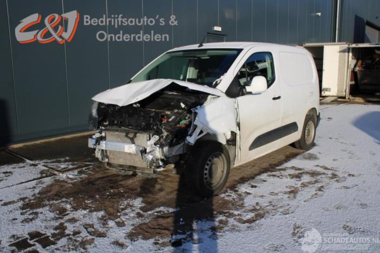 Opel Combo Combo Cargo, Van, 2018 1.6 CDTI 100