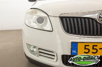 Skoda Fabia Combi 1.4 TDI Airco Greenline picture 28