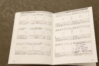 Ford S-Max 2.0-16V 7Pers. Airco picture 19