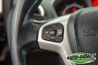 Ford Fiesta 1.6 TDCi Clima ECOnetic Trend picture 13