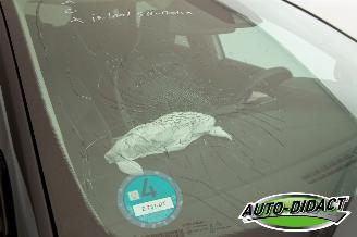 Renault Captur 1.0 TCe Clima Navi 90 Edition One picture 38