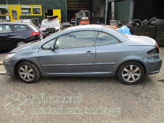 Peugeot 307 307 CC (3B) Cabrio 2.0 16V (EW10J4(RFN)) [100kW]  (10-2003/06-2005) picture 8