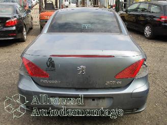 Peugeot 307 307 CC (3B) Cabrio 2.0 16V (EW10J4(RFN)) [100kW]  (10-2003/06-2005) picture 6