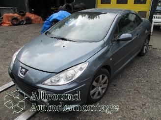 Peugeot 307 307 CC (3B) Cabrio 2.0 16V (EW10J4(RFN)) [100kW]  (10-2003/06-2005) picture 1