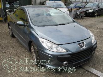 Peugeot 307 307 CC (3B) Cabrio 2.0 16V (EW10J4(RFN)) [100kW]  (10-2003/06-2005) picture 2