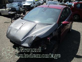 Dezmembrări autoturisme Ford Fiesta Fiesta 6 (JA8) Hatchback 1.0 EcoBoost 12V 100 (SFJA(Euro 5)) [74kW]  (=
01-2013/06-2017) 2013