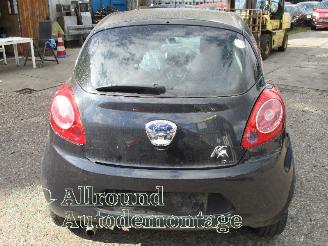 Ford Ka Ka II Hatchback 1.2 (169.A.4000(Euro 4; Euro 5)) [51kW]  (10-2008/05-2=
016) picture 6