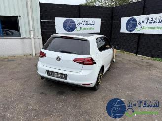 Volkswagen Golf Golf VII (AUA), Hatchback, 2012 / 2021 1.6 TDI 16V picture 1