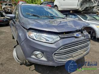 Ford EcoSport EcoSport (JK8), SUV, 2013 1.0 EcoBoost 12V 125 picture 14