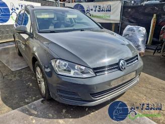 Volkswagen Golf Golf VII Variant (AUVV), Combi, 2013 / 2021 1.6 TDI BlueMotion 16V picture 3