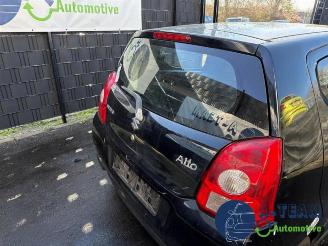 Suzuki Alto Alto, Hatchback 5-drs, 2009 1.0 12V picture 24