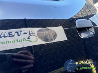 Suzuki Alto Alto, Hatchback 5-drs, 2009 1.0 12V picture 29