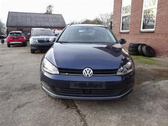 Volkswagen Golf Golf VII Variant (AUVV), Combi, 2013 / 2021 2.0 TDI 4Motion 16V picture 1