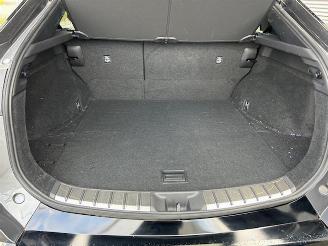 Lexus RZ 450e President Line 71 kWh picture 28