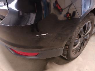 Ford Grand C-Max Grand C-Max (DXA) MPV 1.0 Ti-VCT EcoBoost 12V 125 (M1DA(Euro 5)) [92kW=
]  (10-2012/06-2019) picture 21