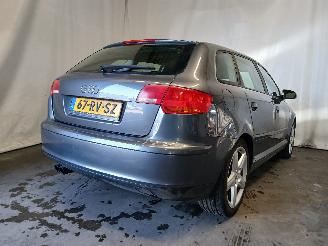 Audi A3 A3 Sportback (8PA) Hatchback 5-drs 2.0 FSI 16V (BLR) [110kW]  (09-2004=
/06-2008) picture 5