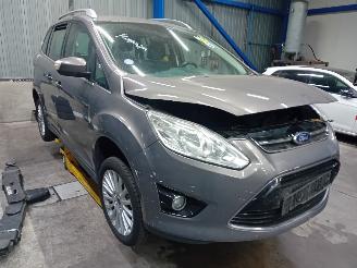 Ford Grand C-Max Grand C-Max (DXA) MPV 1.0 Ti-VCT EcoBoost 12V 125 (M1DA(Euro 5)) [92kW=
]  (10-2012/06-2019) picture 2