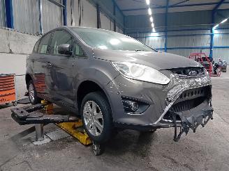 Ford C-Max C-Max (DXA) MPV 1.0 Ti-VCT EcoBoost 12V 100 (M2DA(Euro 5)) [74kW]  (10=
-2012/06-2019) picture 2