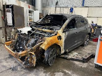 Uttjänta bilar auto Ford Kuga Kuga III (DFK) SUV 2.5 PHEV 16V (BGDA) [165kW]  (07-2019/...) 2023/7