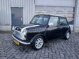Rover Mini Mini Sedan 1300 Cooper (12A2AF53) [45kW]  (01-1991/12-1991) picture 3