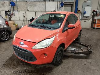 Sloopauto Ford Ka Ka II Hatchback 1.2 (169.A.4000(Euro 4; Euro 5)) [51kW]  (10-2008/05-2=
016) 2010/3
