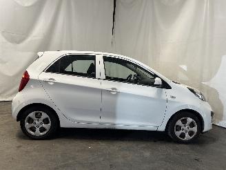 Kia Picanto Picanto (TA) Hatchback 1.0 12V (G3LA) [51kW]  (05-2011/06-2017) picture 6