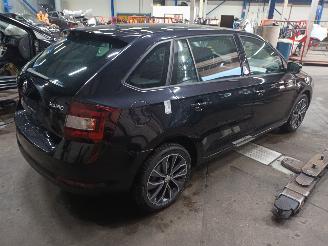Skoda Rapid Rapid Spaceback Combi 1.2 TSI 16V (CJZC(Euro 6)) [66kW]  (05-2015/12-2=
019) picture 3