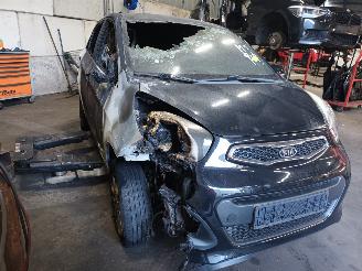 Kia Picanto Picanto (TA) Hatchback 1.0 12V (G3LA) [51kW]  (05-2011/06-2017) picture 2