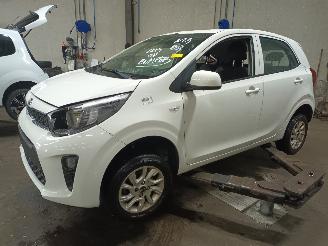 Démontage voiture Kia Picanto Picanto (JA) Hatchback 1.0 12V (G3LA) [49kW]  (03-2017/...) 2018/6