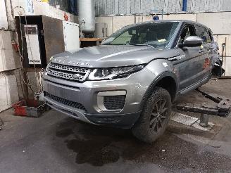 Sloopauto Land Rover Range Rover Evoque Range Rover Evoque (LVJ/LVS) SUV 2.0 eD 150 16V (204DTD(AJ20D4)) [110k=
W]  (06-2015/12-2019) 2017/1