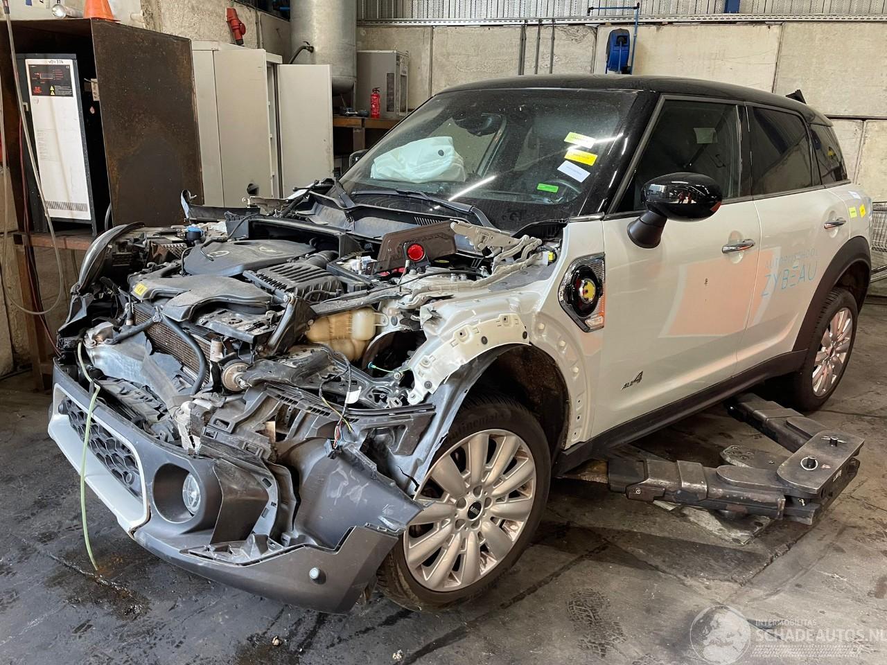 Mini Countryman Countryman (F60) SUV 1.5 TwinPower Turbo 12V Cooper SE ALL4 (IA1) [162=
kW]  (07-2020/...)