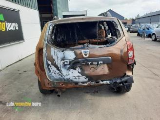 Dacia Duster Duster (HS), SUV, 2009 / 2018 1.5 dCi picture 4